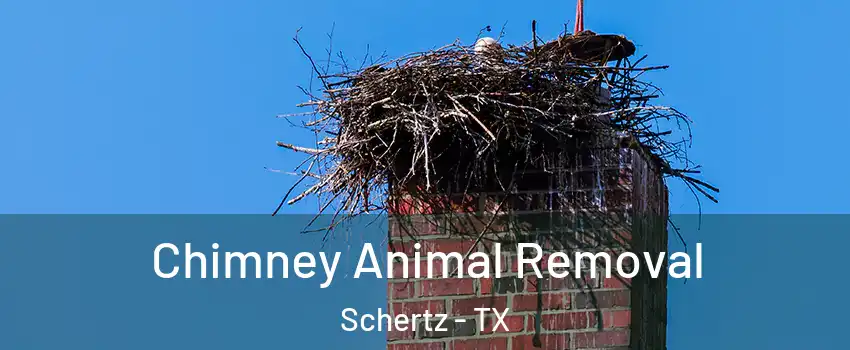  Chimney Animal Removal Schertz - TX