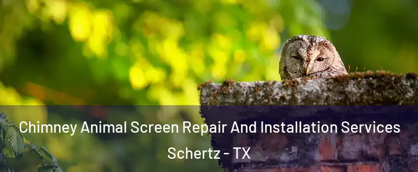  Chimney Animal Screen Repair And Installation Services Schertz - TX