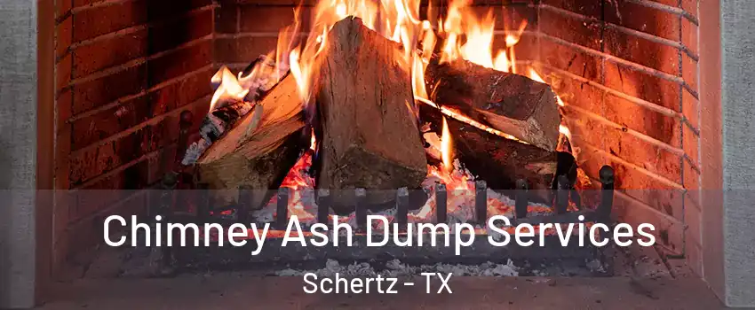  Chimney Ash Dump Services Schertz - TX