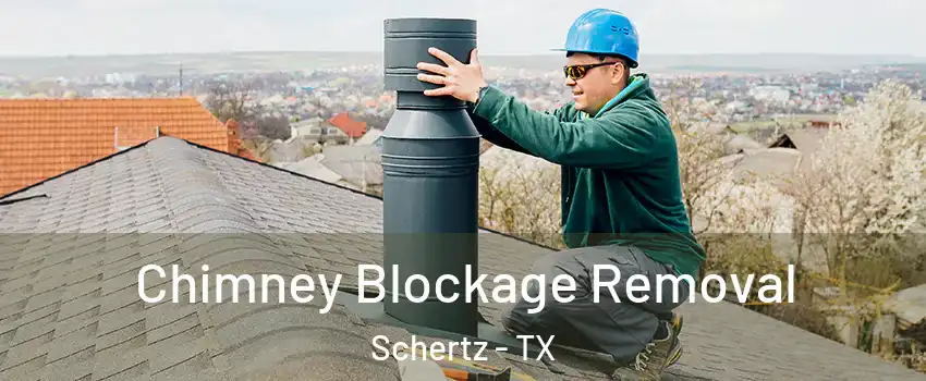  Chimney Blockage Removal Schertz - TX