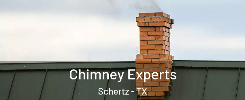  Chimney Experts Schertz - TX