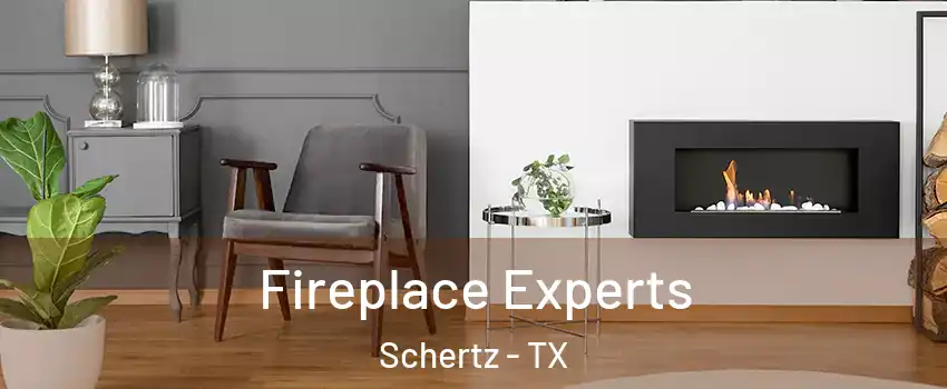  Fireplace Experts Schertz - TX