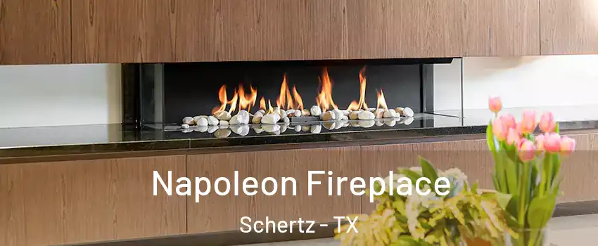 Napoleon Fireplace Schertz - TX